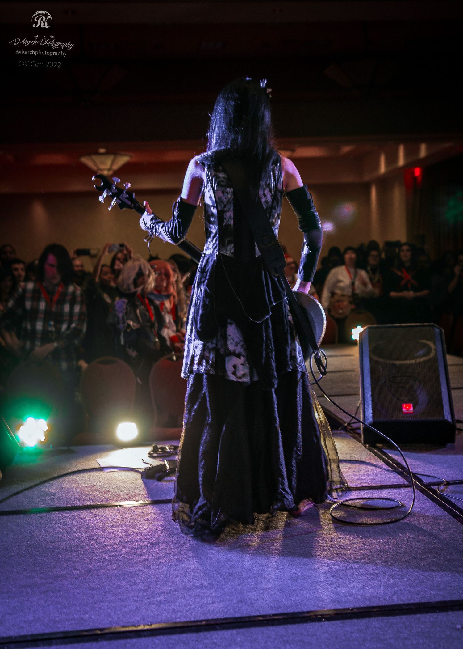 Concert performer silhouetted on stage with dramatic lighting and crowd in background.