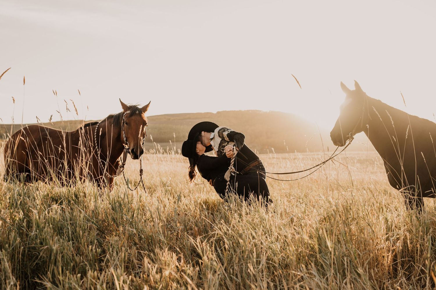 Cowboy dips and kisses fiance in field with horses at sunset