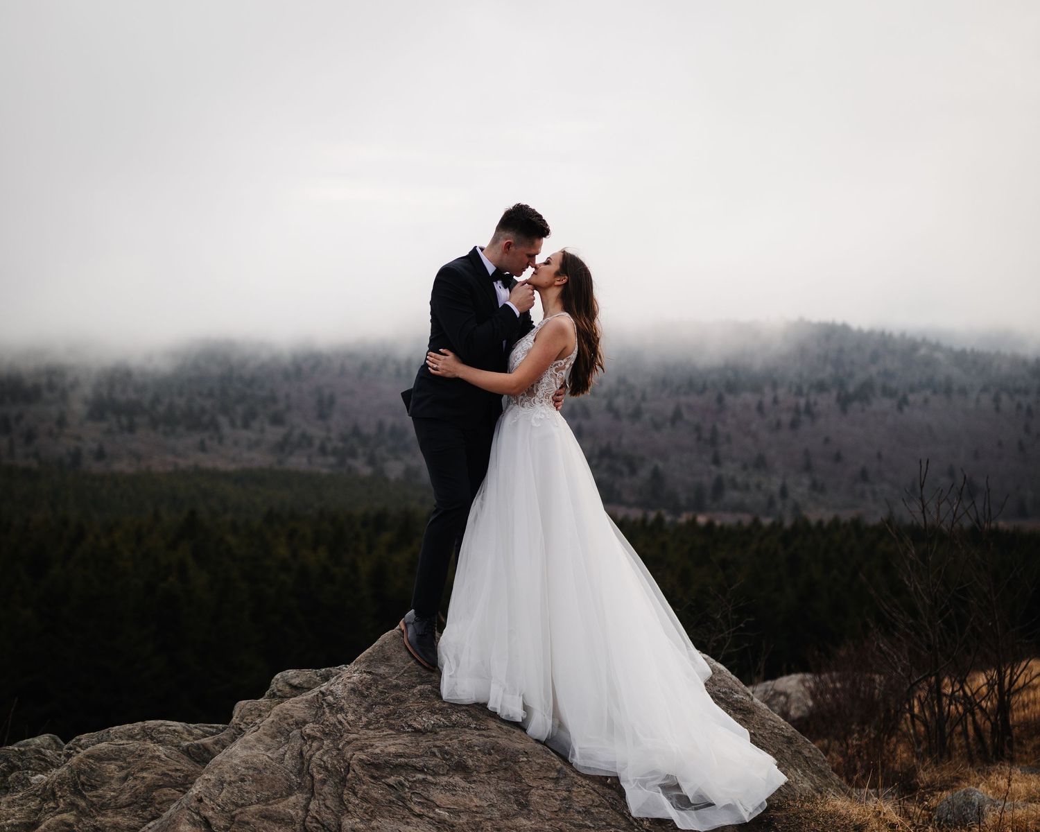 NC wedding photographer in asheville