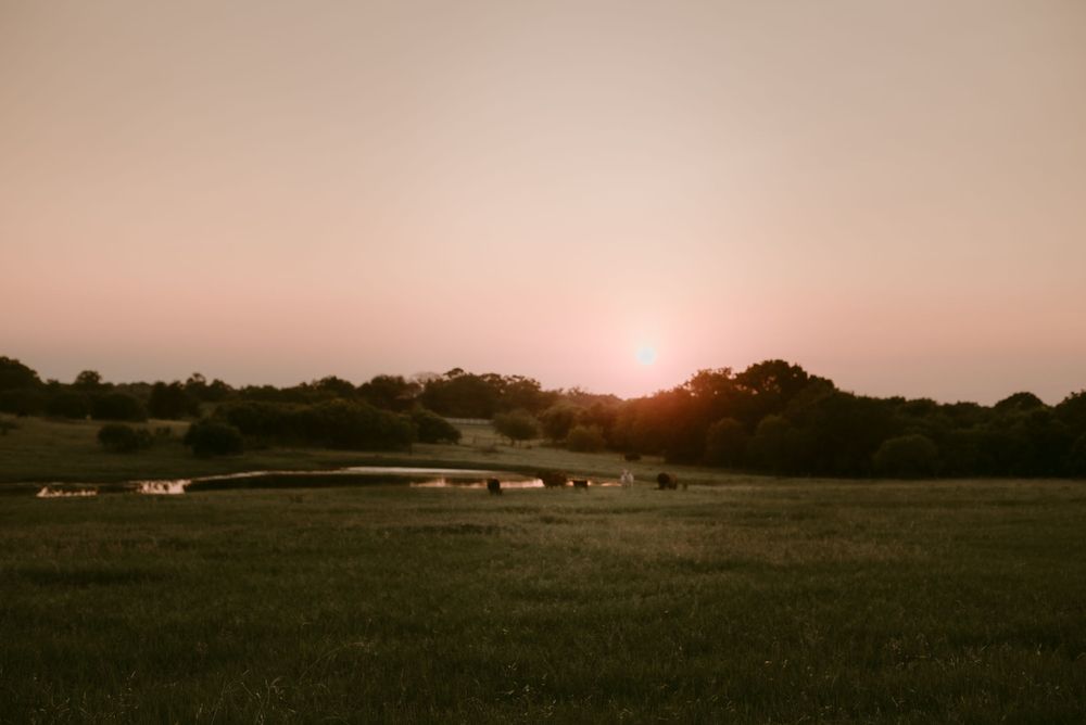 Sunset over a rural field with trees silhouetted against a warm pink sky.