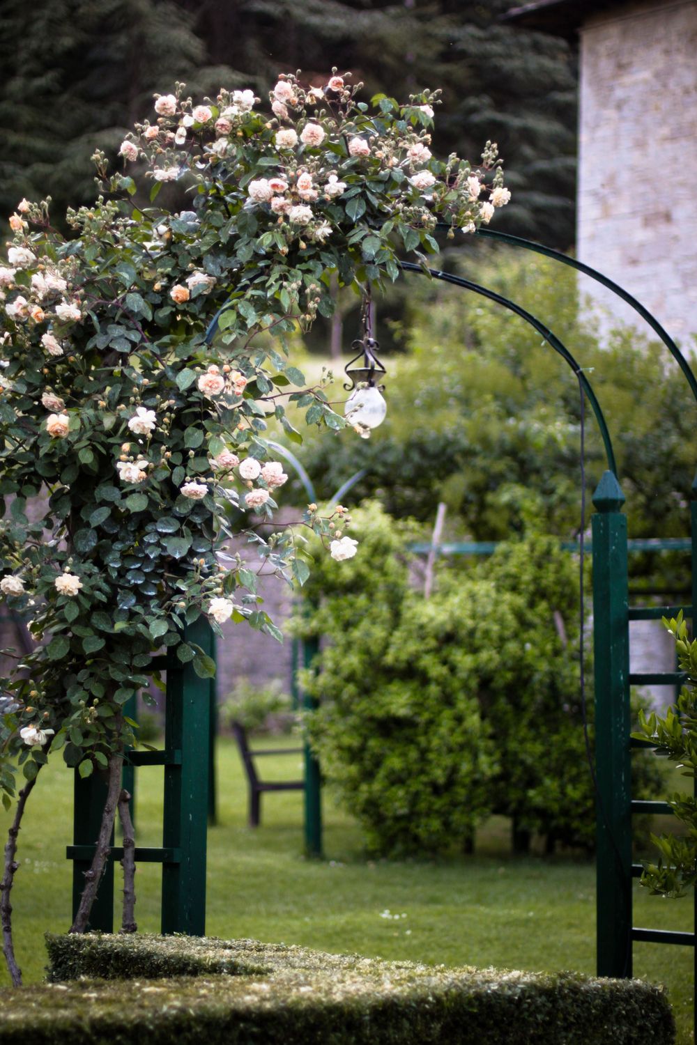 A romantic garden arch covered in climbing roses creating a floral tunnel in a manicured lawn.
