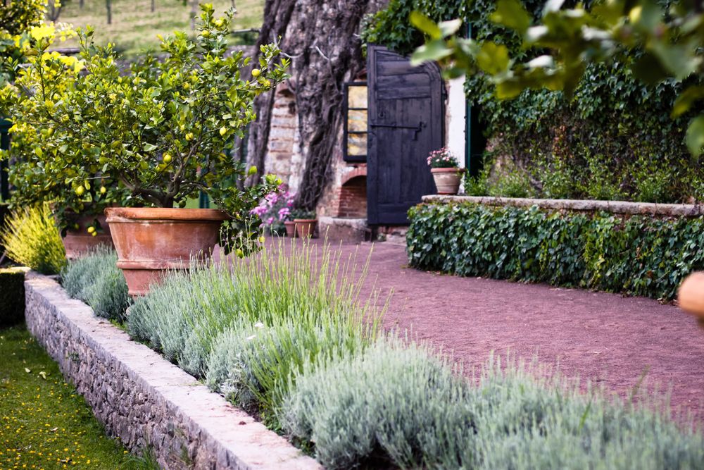 Rustic garden path lined with lavender and hedges leading to a wooden door.