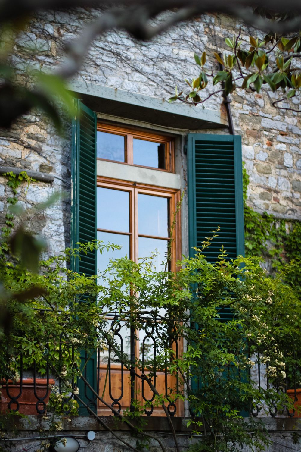 Traditional Mediterranean window with green shutters and wrought iron balcony surrounded by climbing plants.