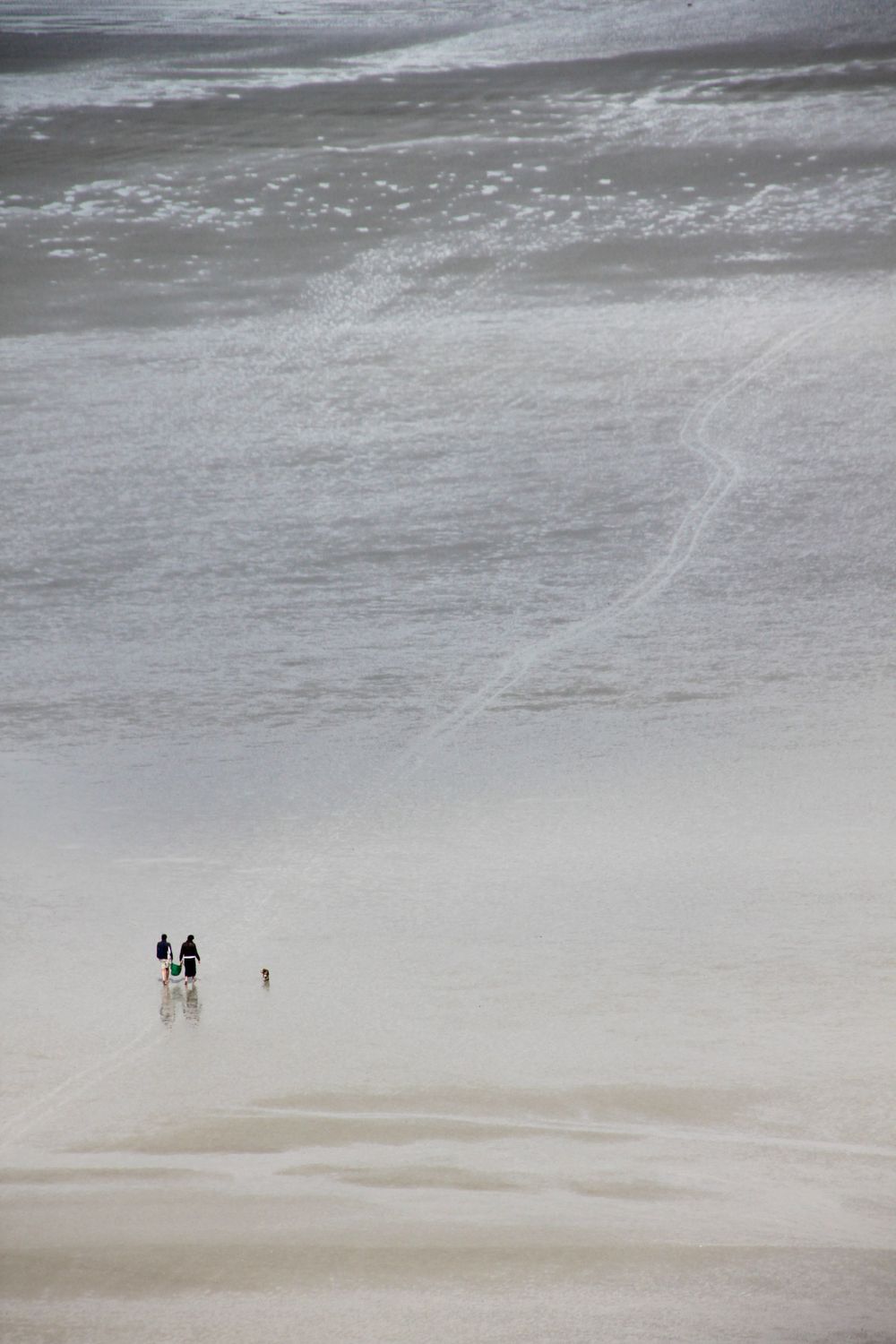 Aerial view of small figures walking on a misty beach creating a minimalist scenic landscape.