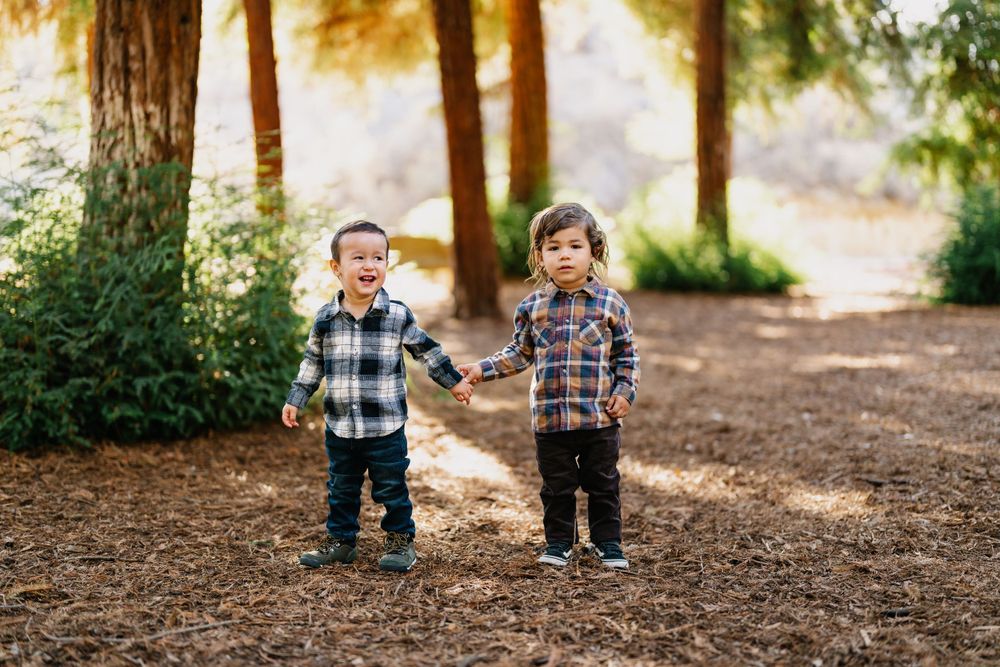Two toddlers in matching plaid shirts standing on forest trail.