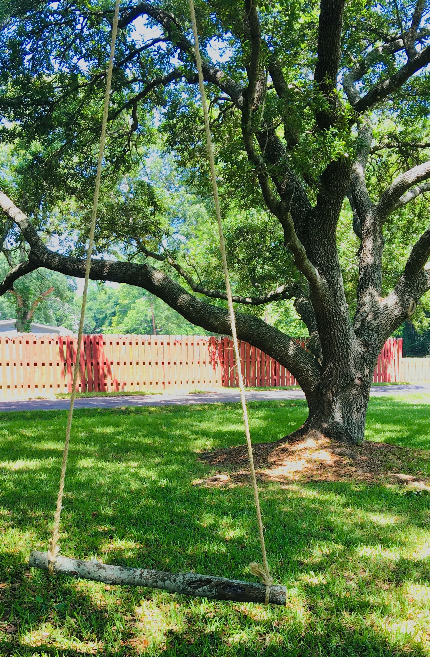 Rope swing hanging from large oak tree with red fence in background.