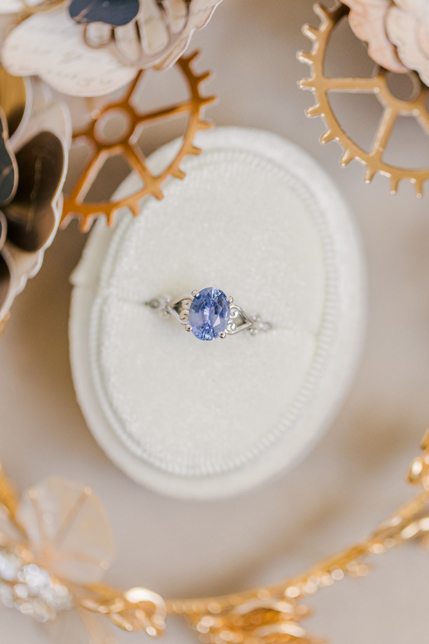 RUST MANOR HOUSE NOVA WEDDING PICTURES
