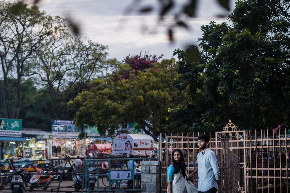 Street scene with trees and parked vehicles during evening light.