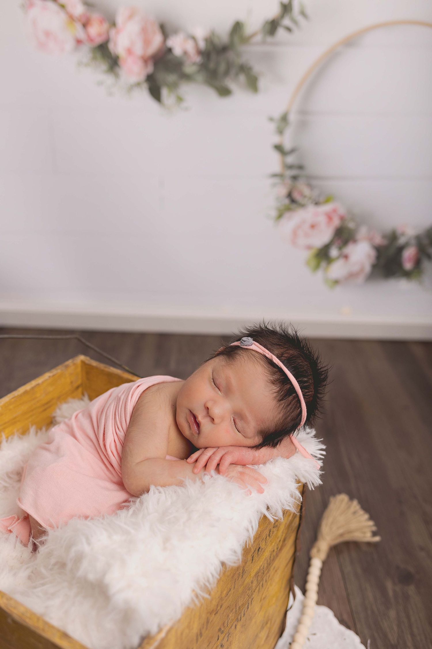 Newborn pictures Hartland, WI