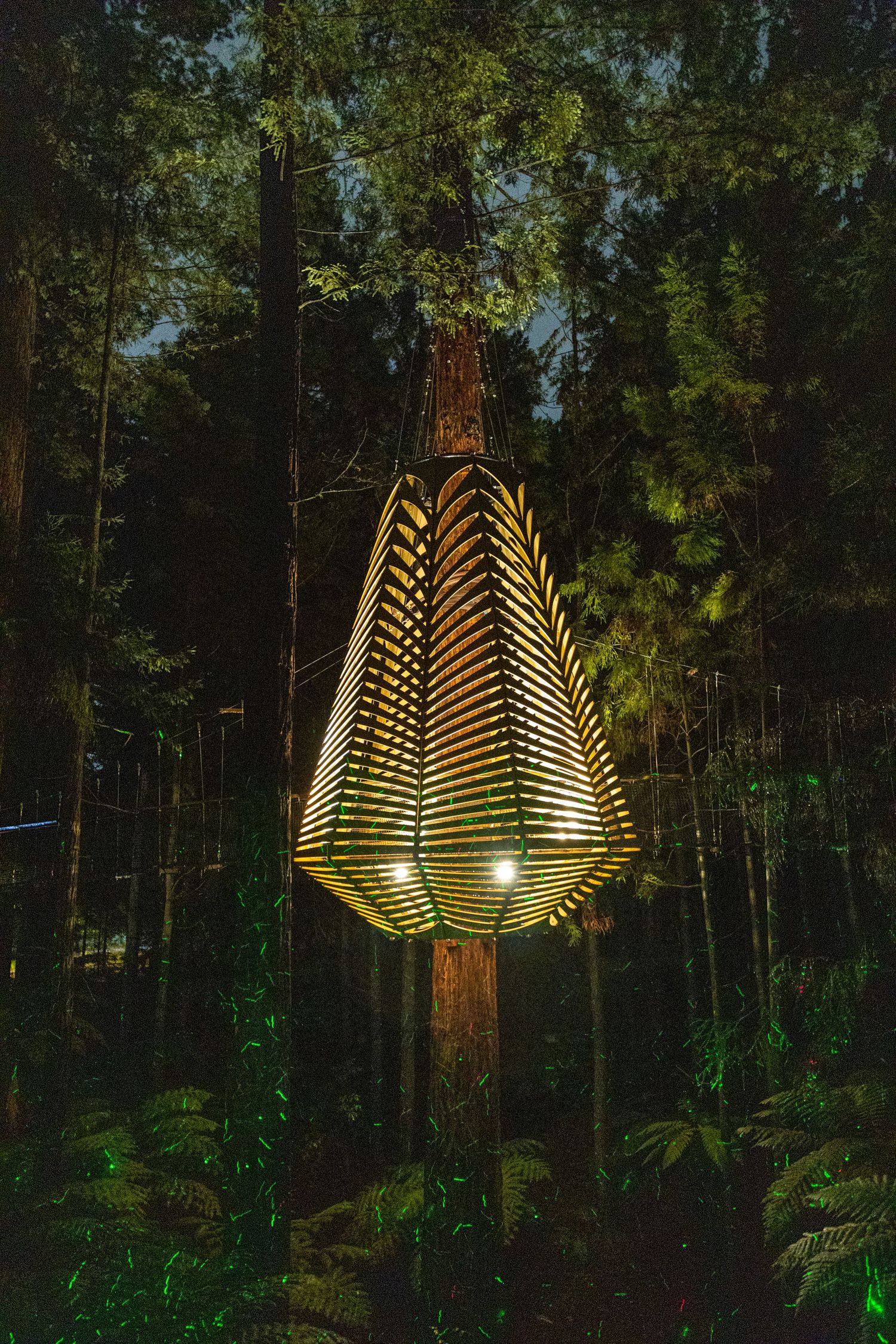 A glowing lantern structure suspended in native bush – part sculpture, part sanctuary.
