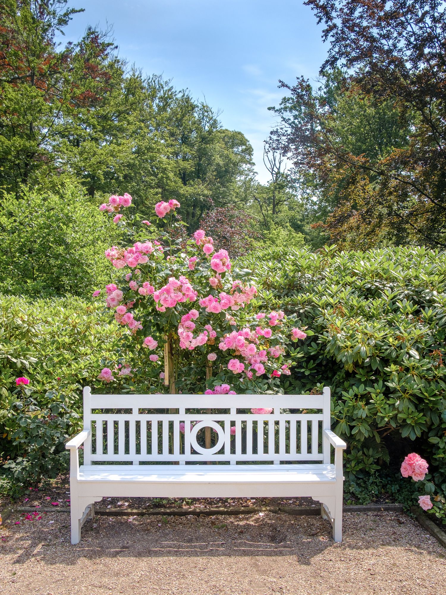 Rozentuin Huis Doorn Rozen Garten by Birense Fotografie