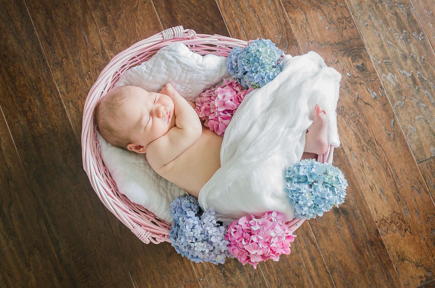 newborn