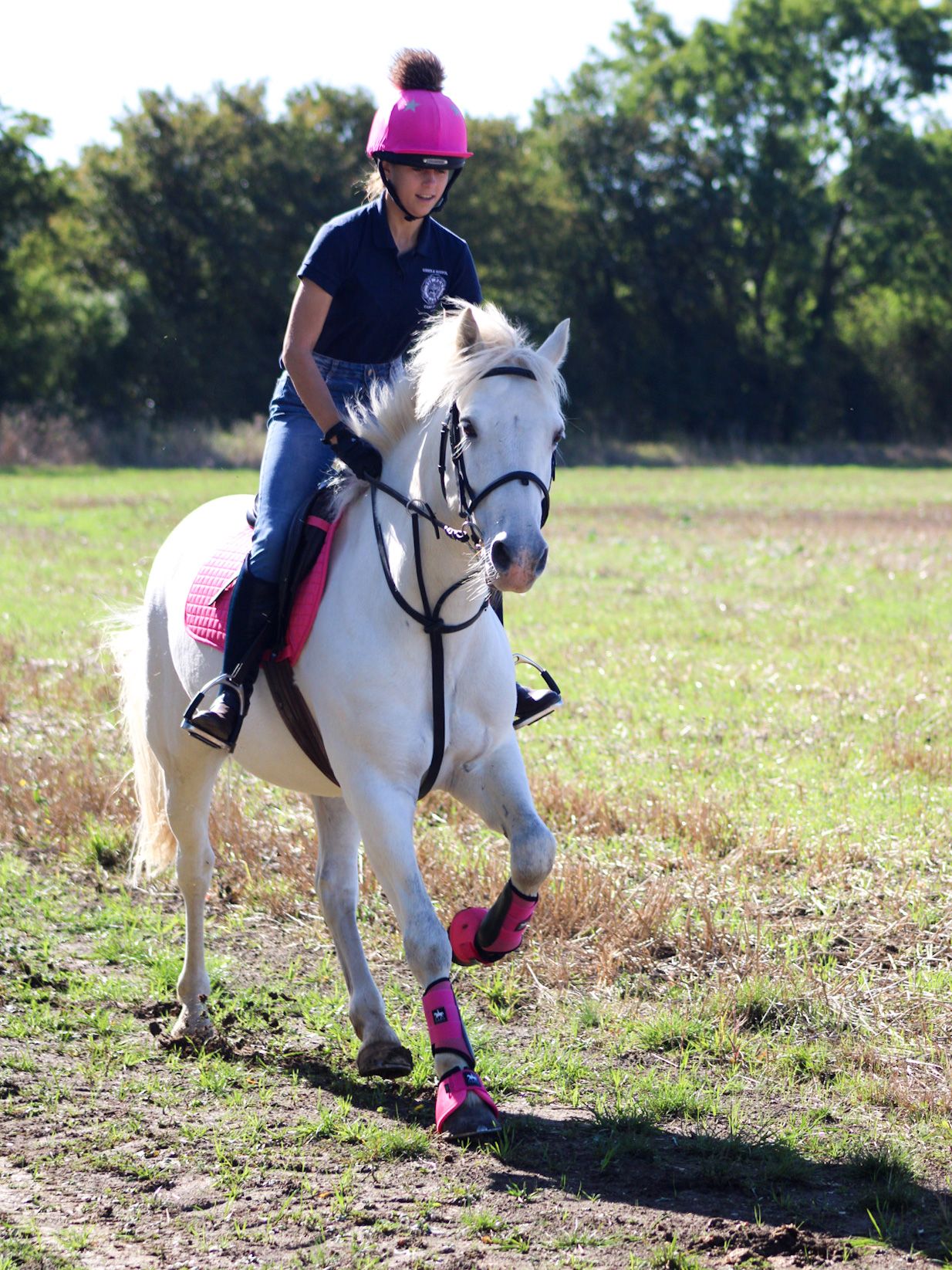 horse out for a hack cantering