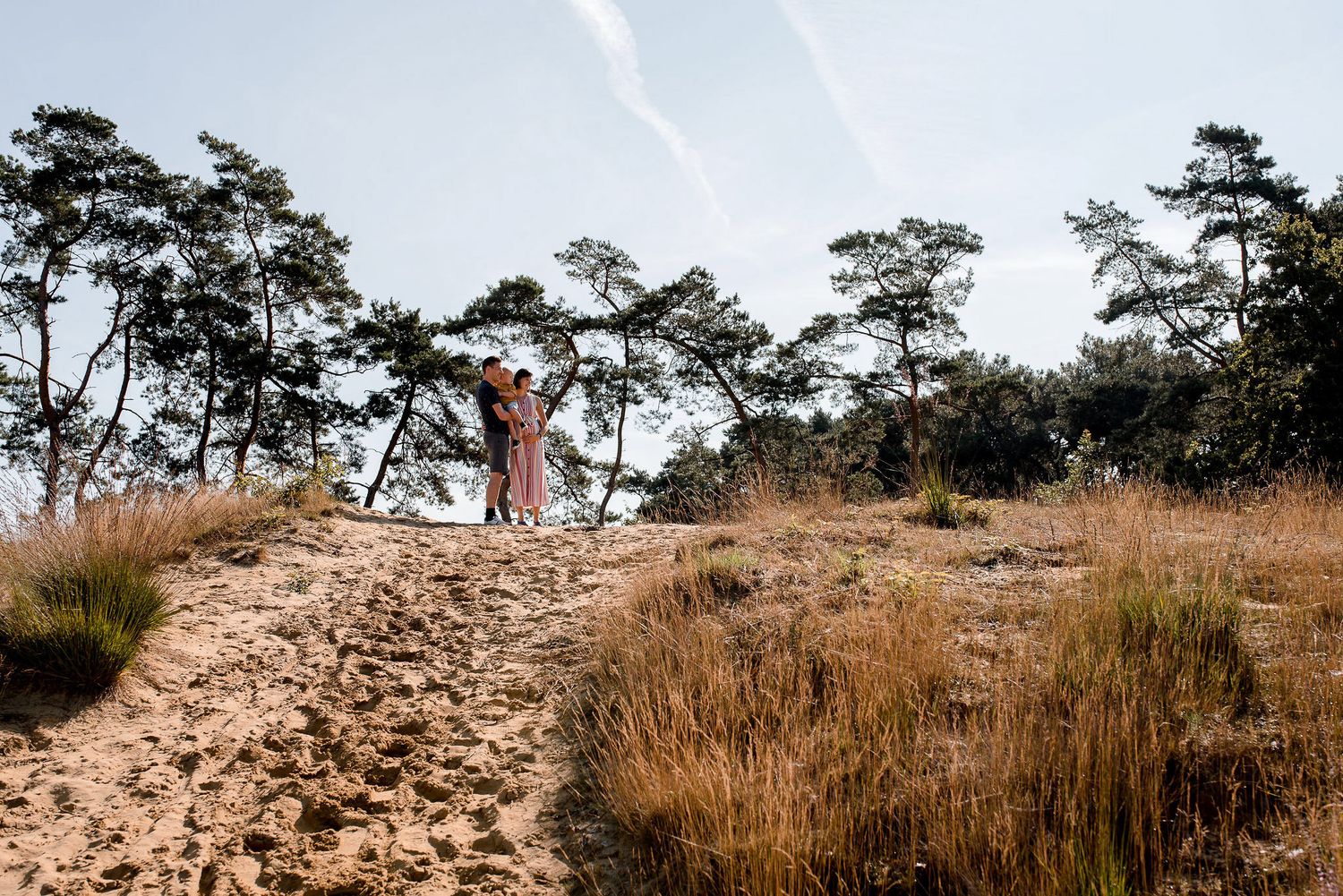 gezinsfoto, zwangerschap, zomer
