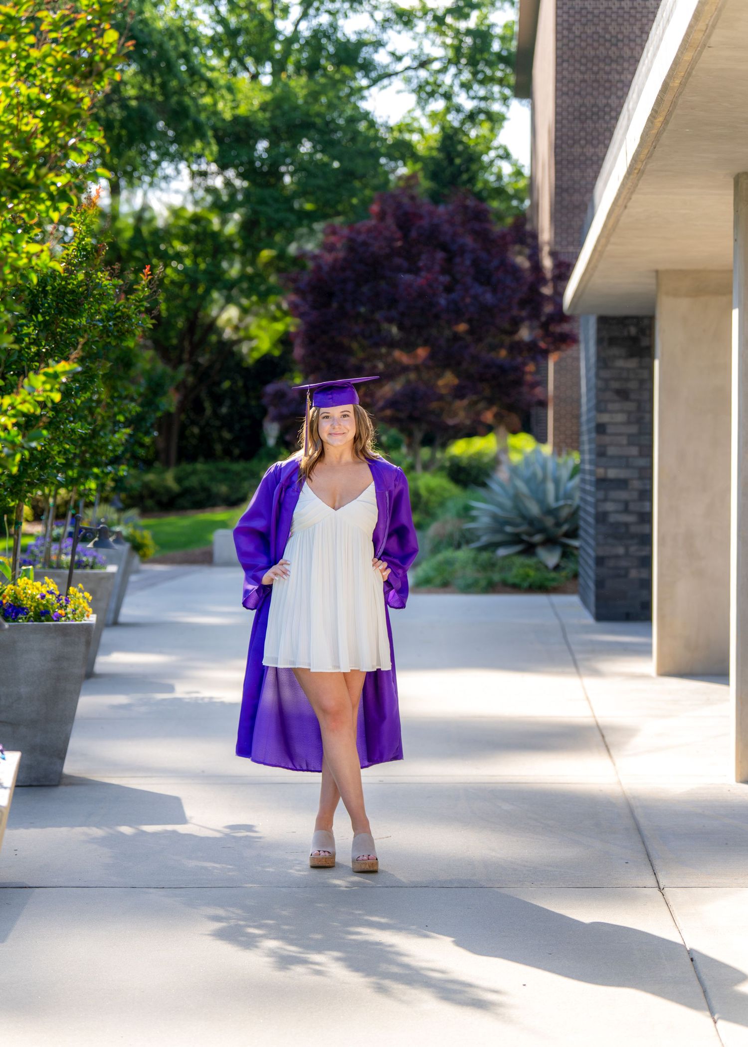 Graduate in purple cap and gown standing on sidewalk with landscaped garden background.