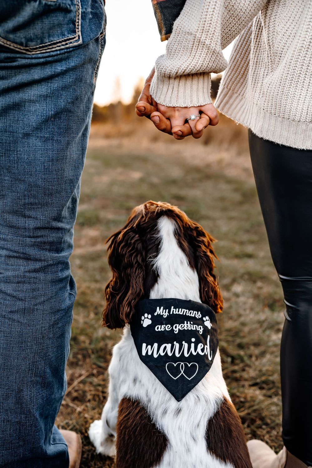 Fall Twin Cities Minnesota Couple Engagement Photo with Dog My Humans are Getting Married Bandana