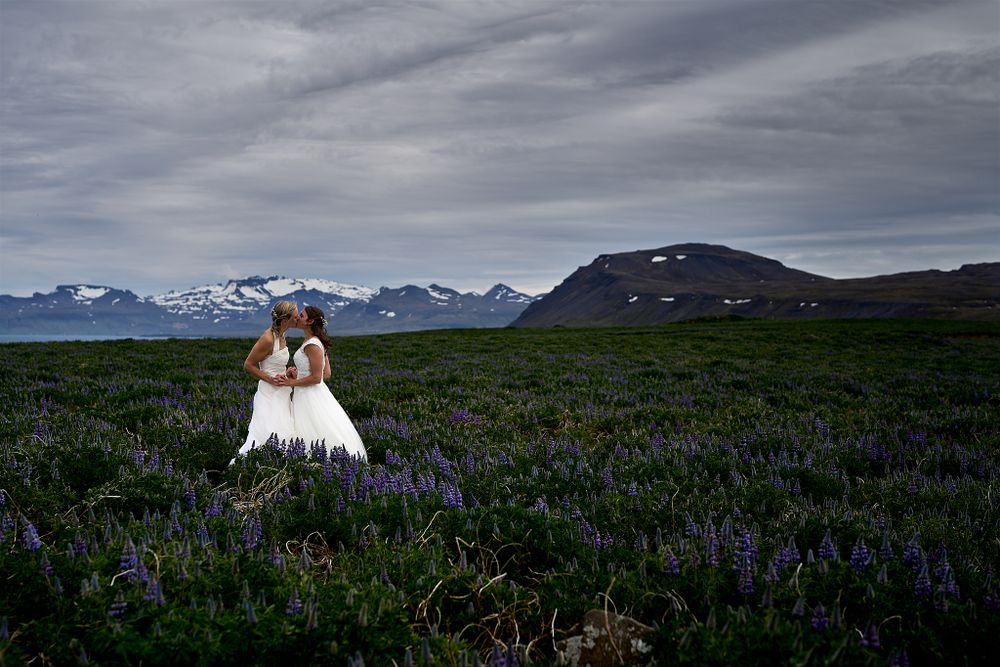 Two wedding figures embrace in a field of purple wildflowers with snow-capped mountains in the background.