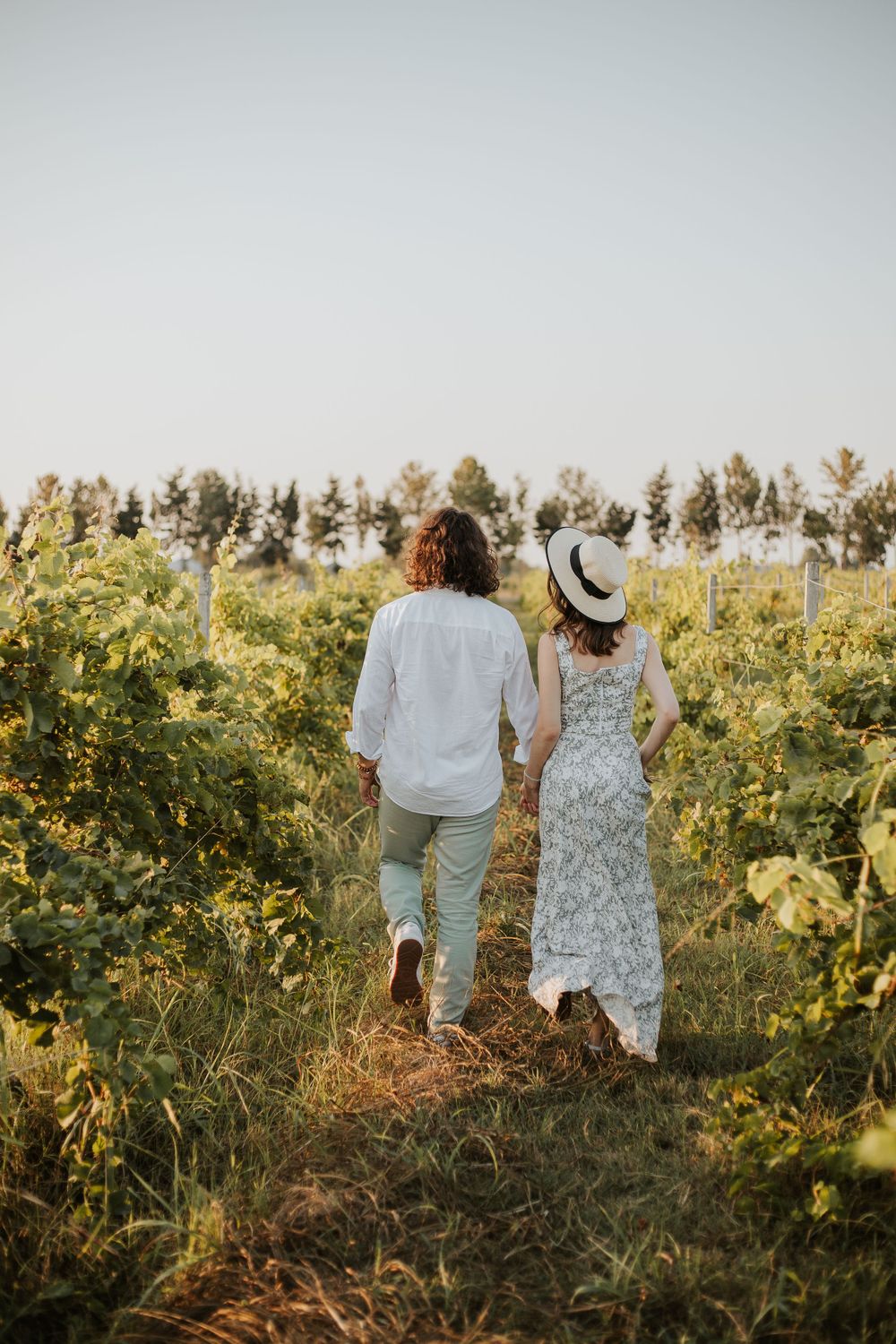 A couple holding hands while walking through rows of grapevines at sunset.
