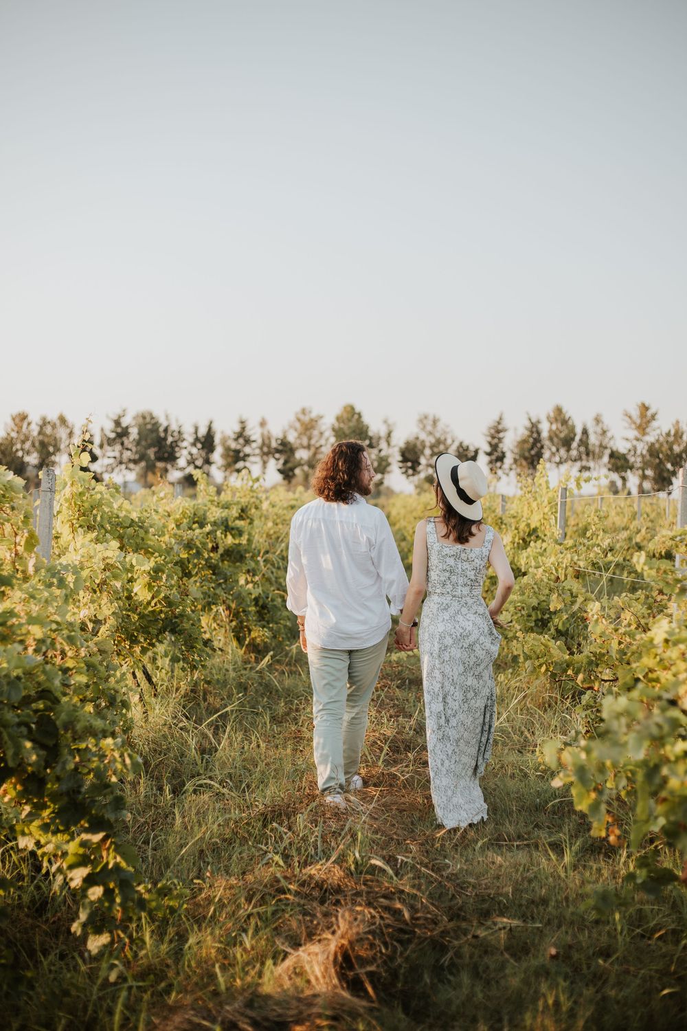 Two people walking hand in hand through vineyard rows with trees in background.