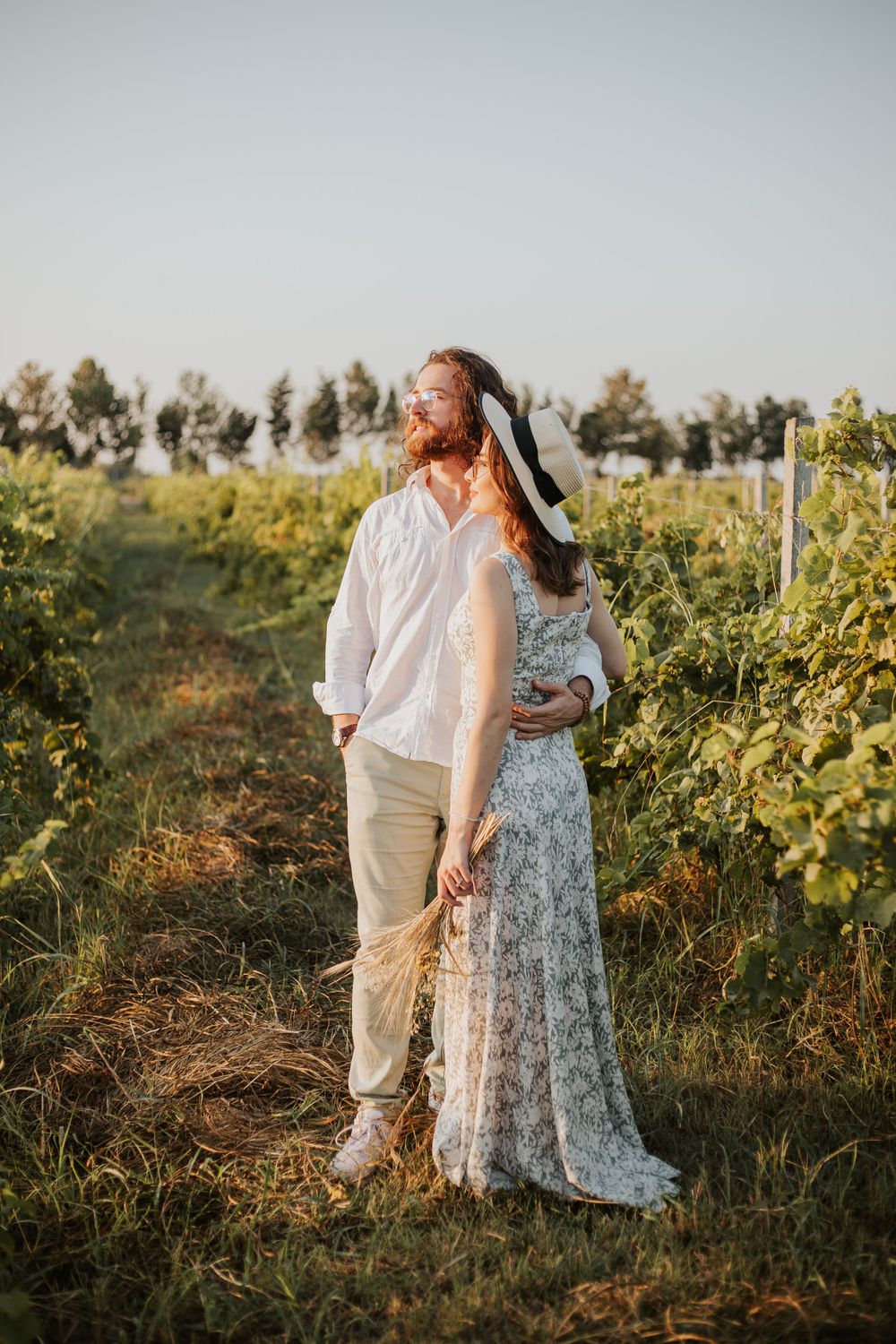 A romantic couple embraces among grapevines during a golden sunset photoshoot.