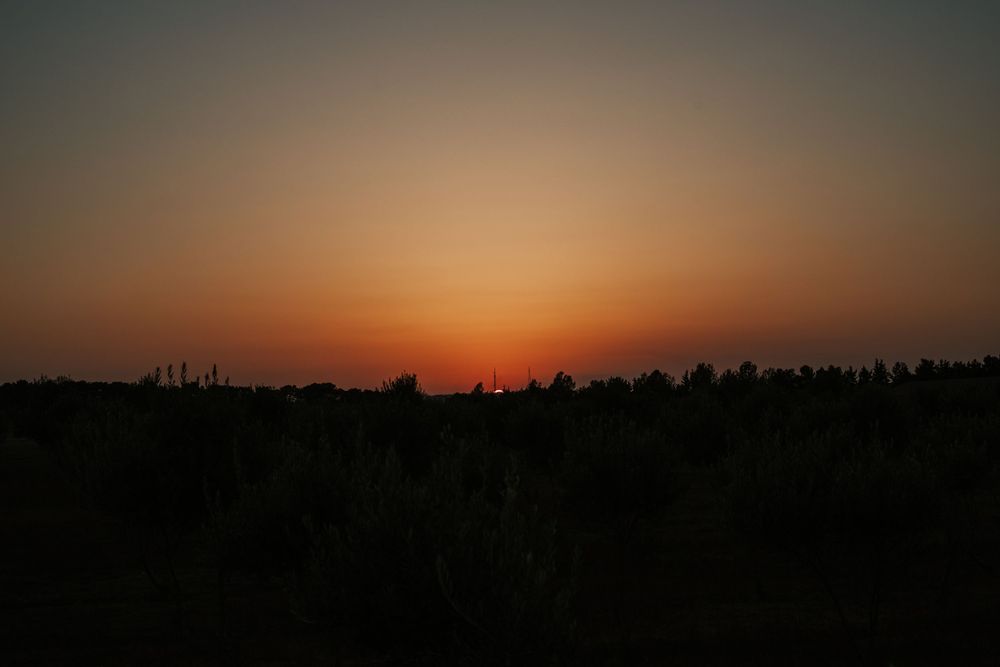 Dramatic orange sunset silhouetting a treeline against a darkening sky.