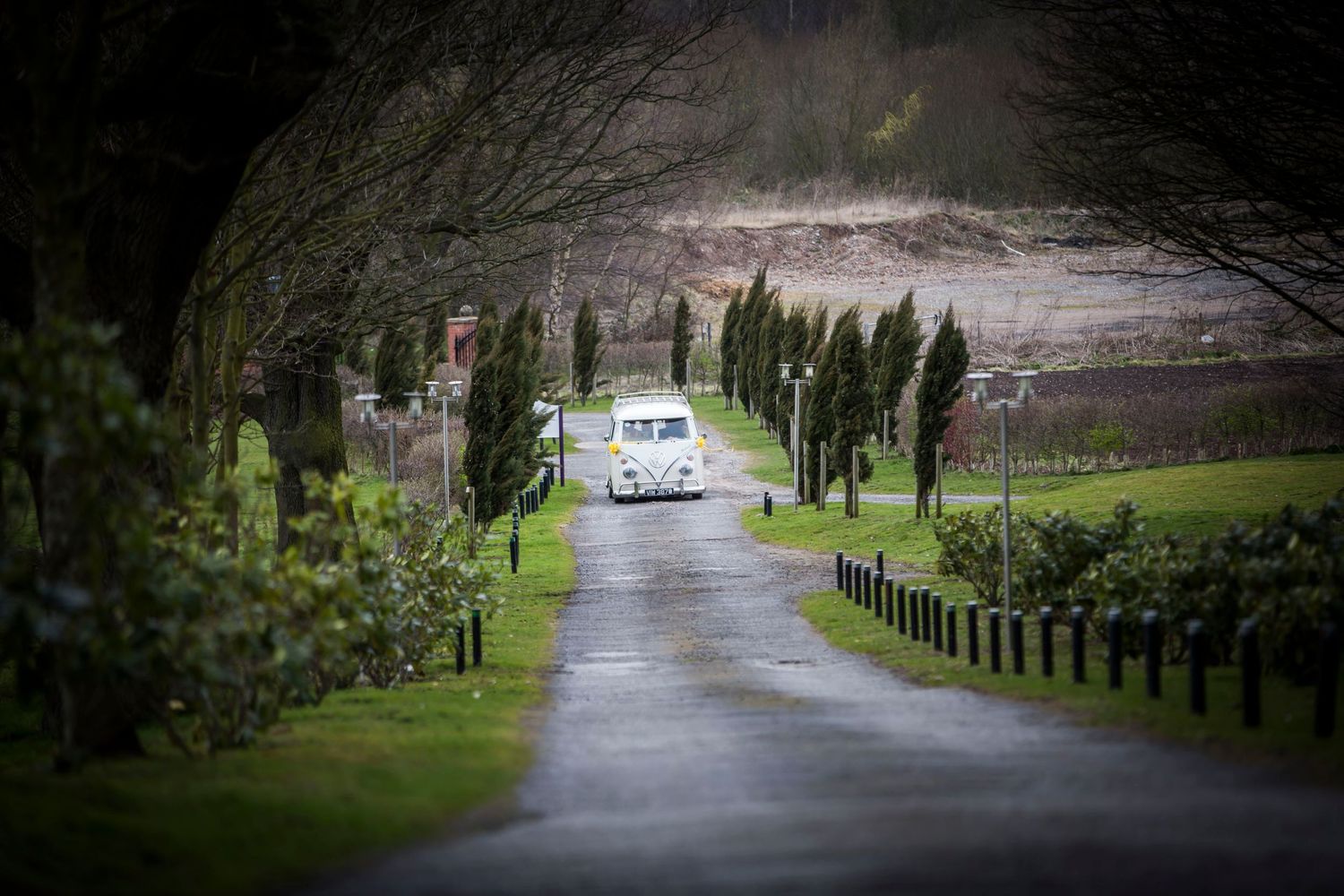 A classic vintage car drives down a tree-lined country driveway on a misty day.