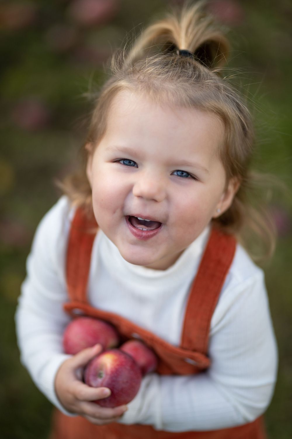 Close up view of someone holding red apples while wearing a white shirt and red overalls.