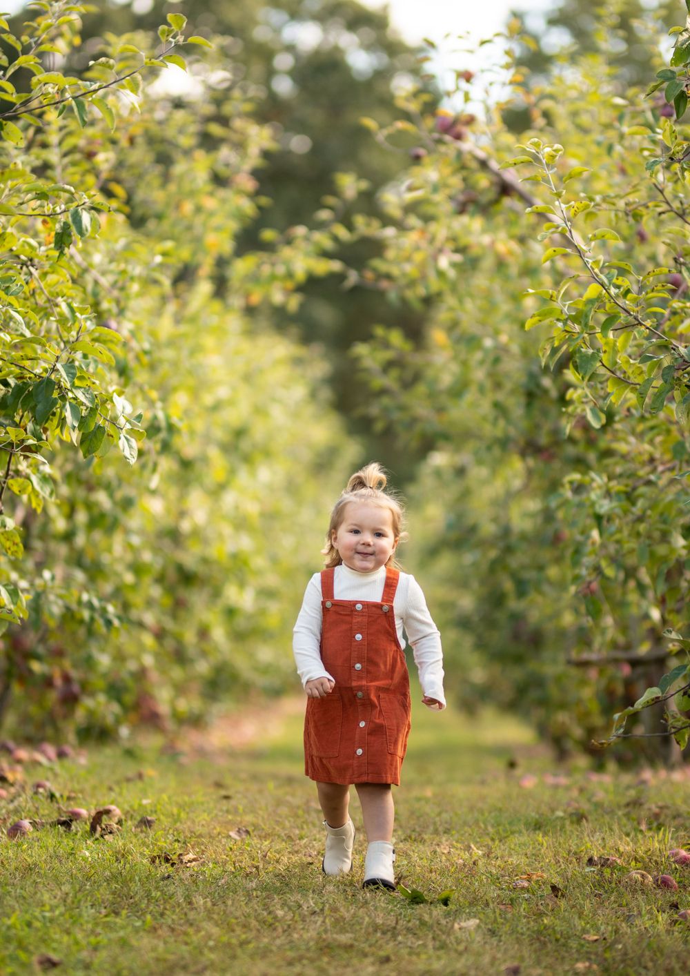 Child in red overalls walking through an apple orchard on a sunny autumn day.