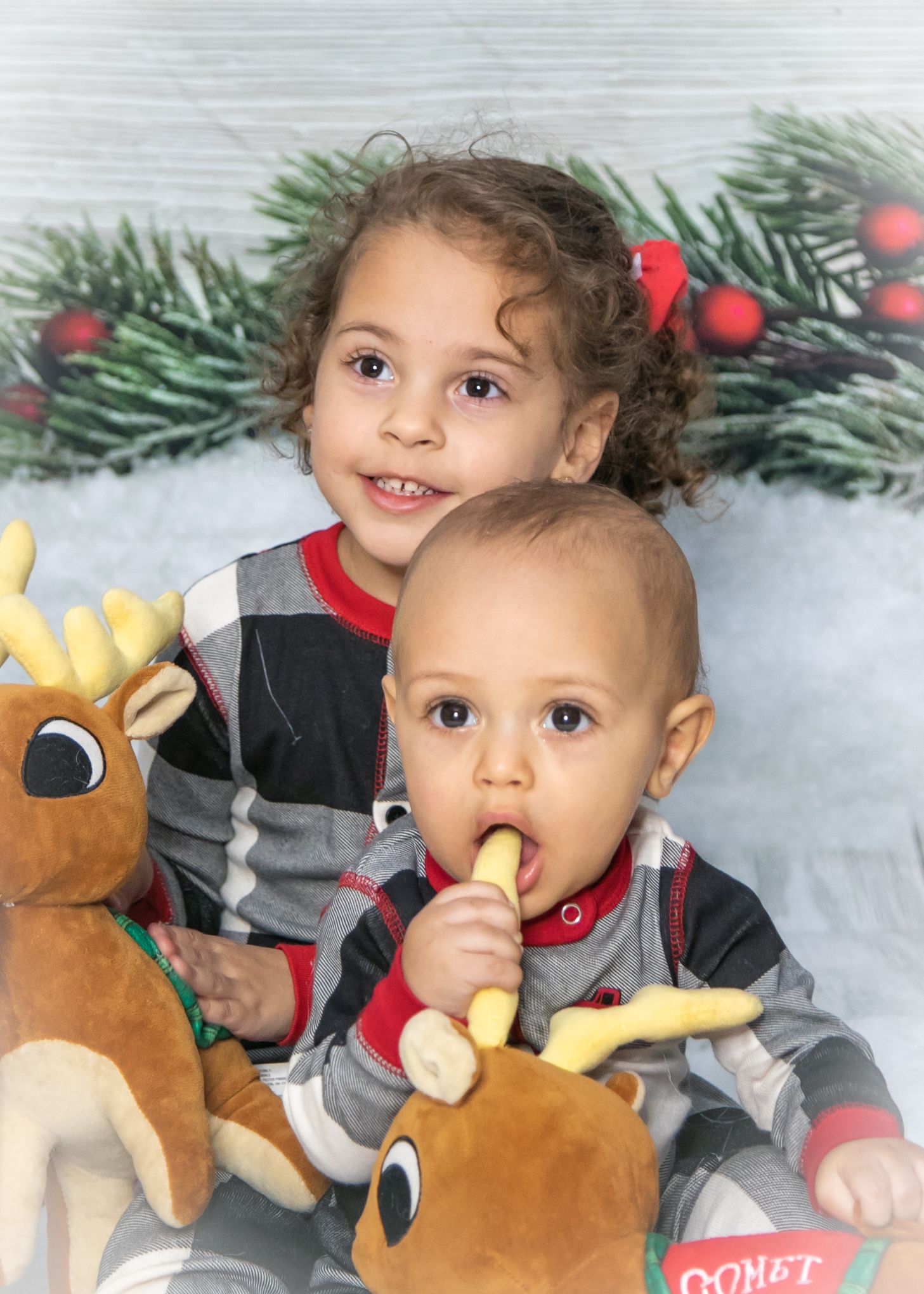 Holiday portrait with reindeer plush toys against pine branch and berry backdrop.
