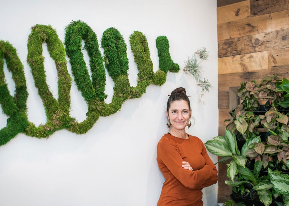 plant wall by terra of lush elements, santa barbara, ca