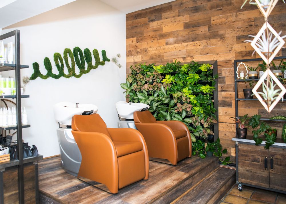upscale salon chairs with beautiful interior plant wall in background