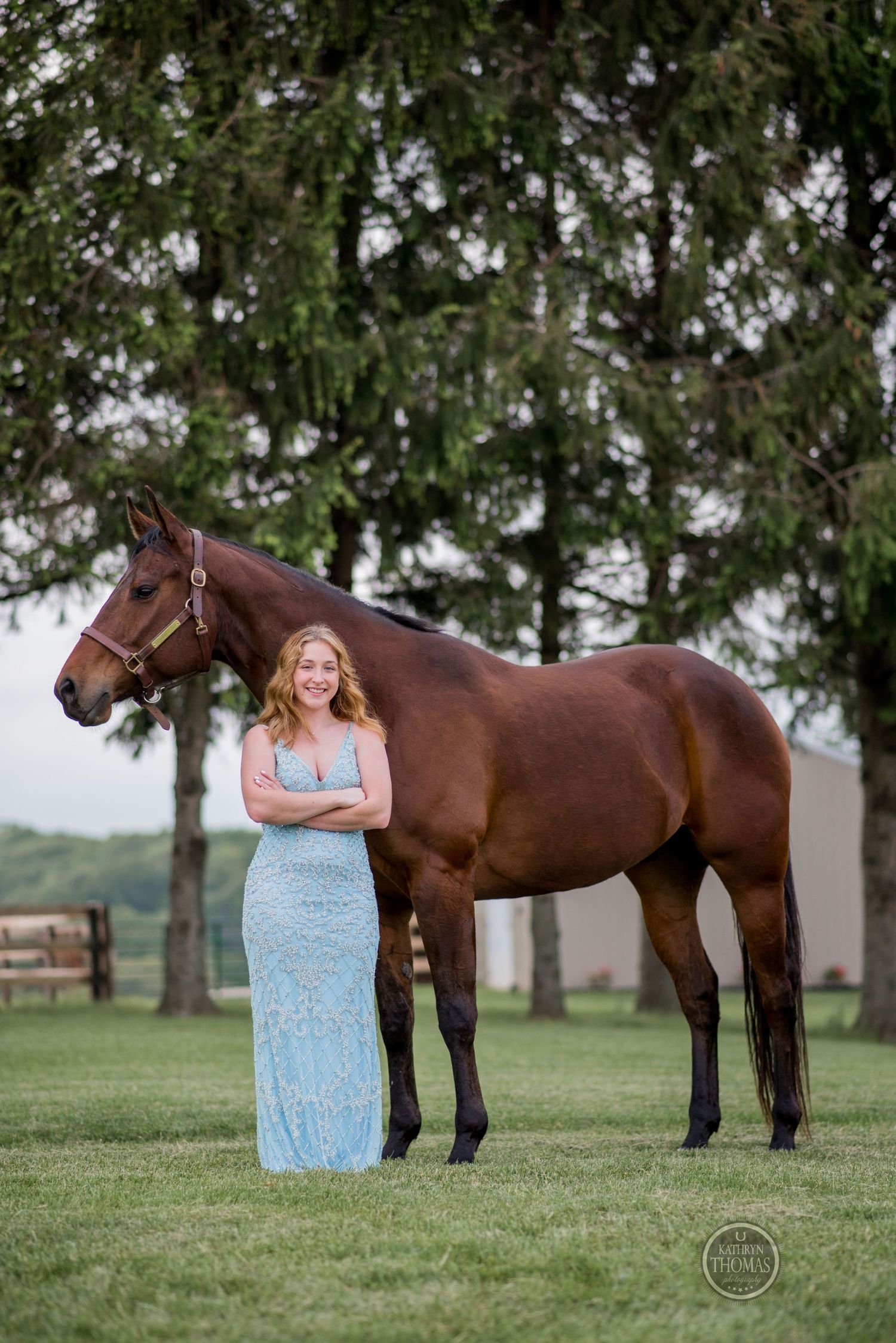 Someone in a floor-length blue dress stands confidently next to a bay horse in a pastoral setting.