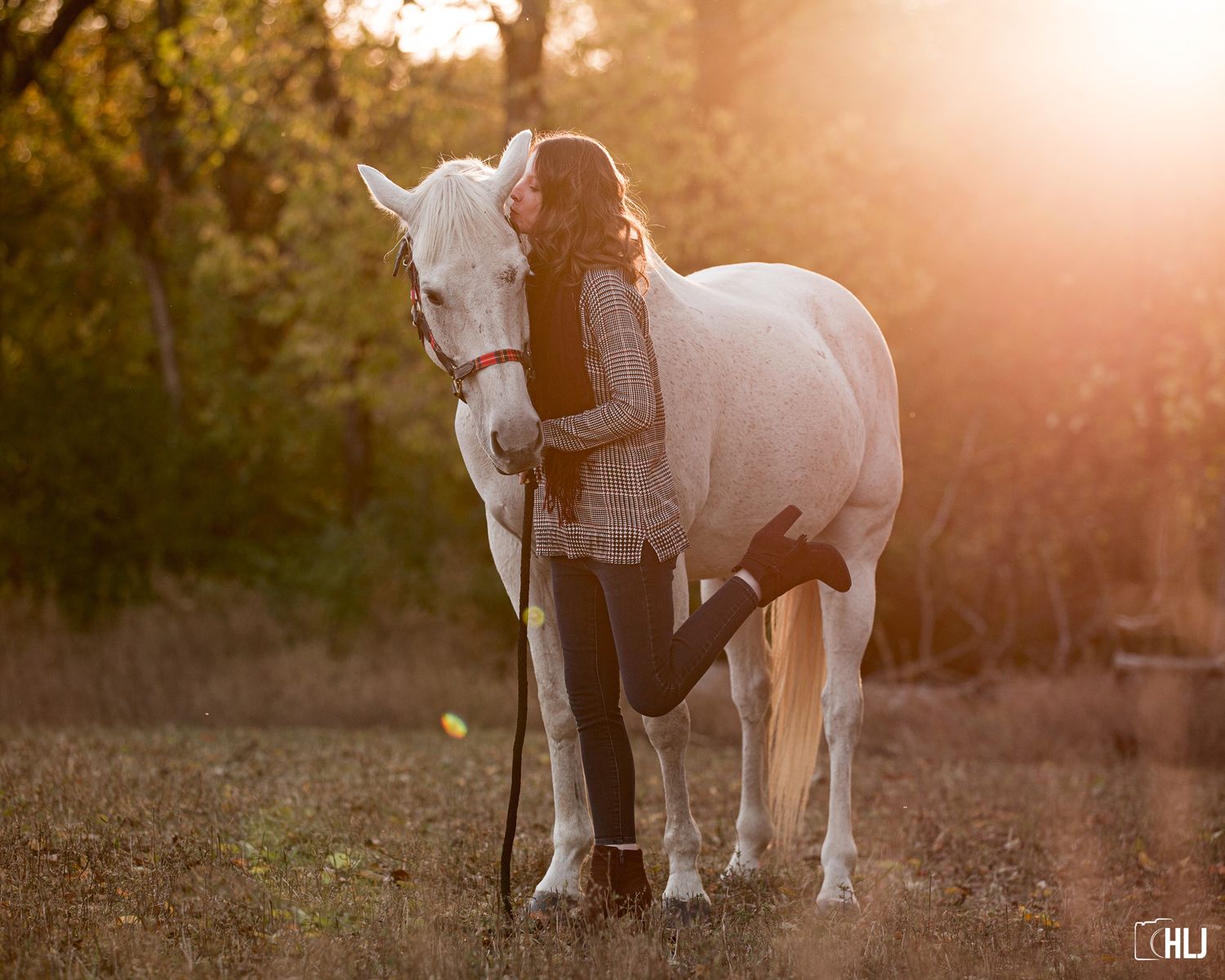 A majestic white horse and companion share a tender moment in the warm glow of sunset.