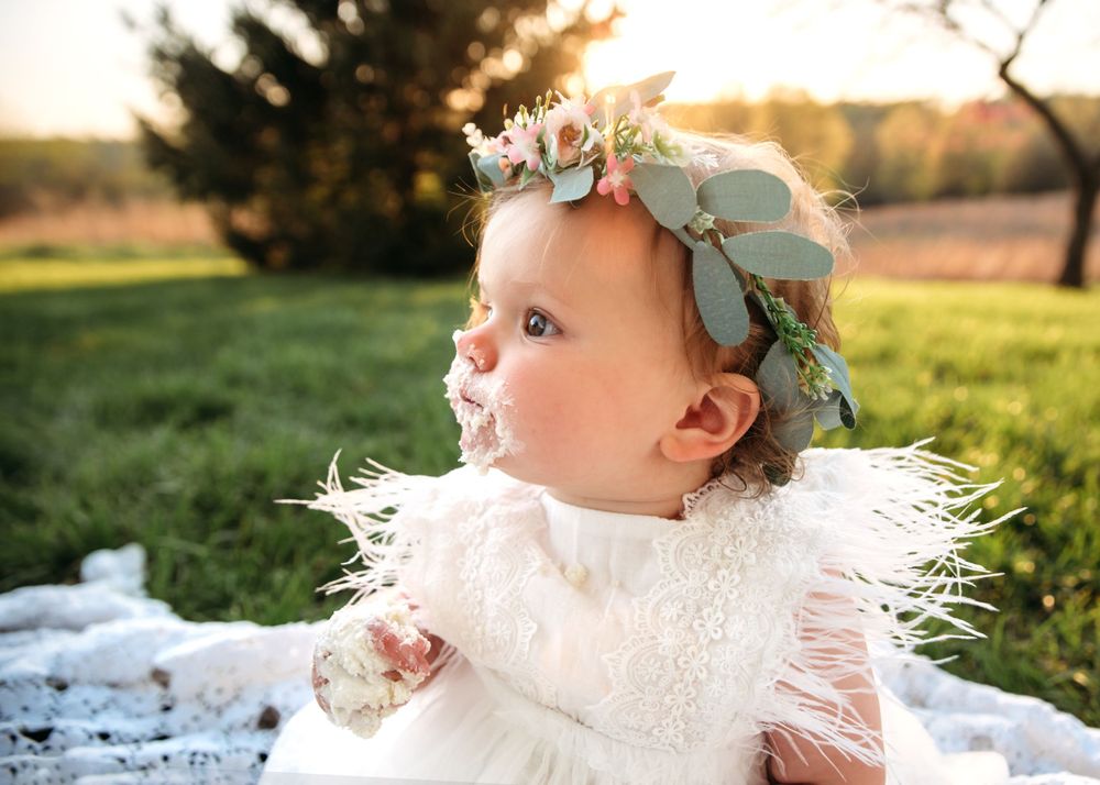 Ashley Dawn Photography Family and First Birthday Photographer Cake Smash St. Louis Mo St. Charles MO
