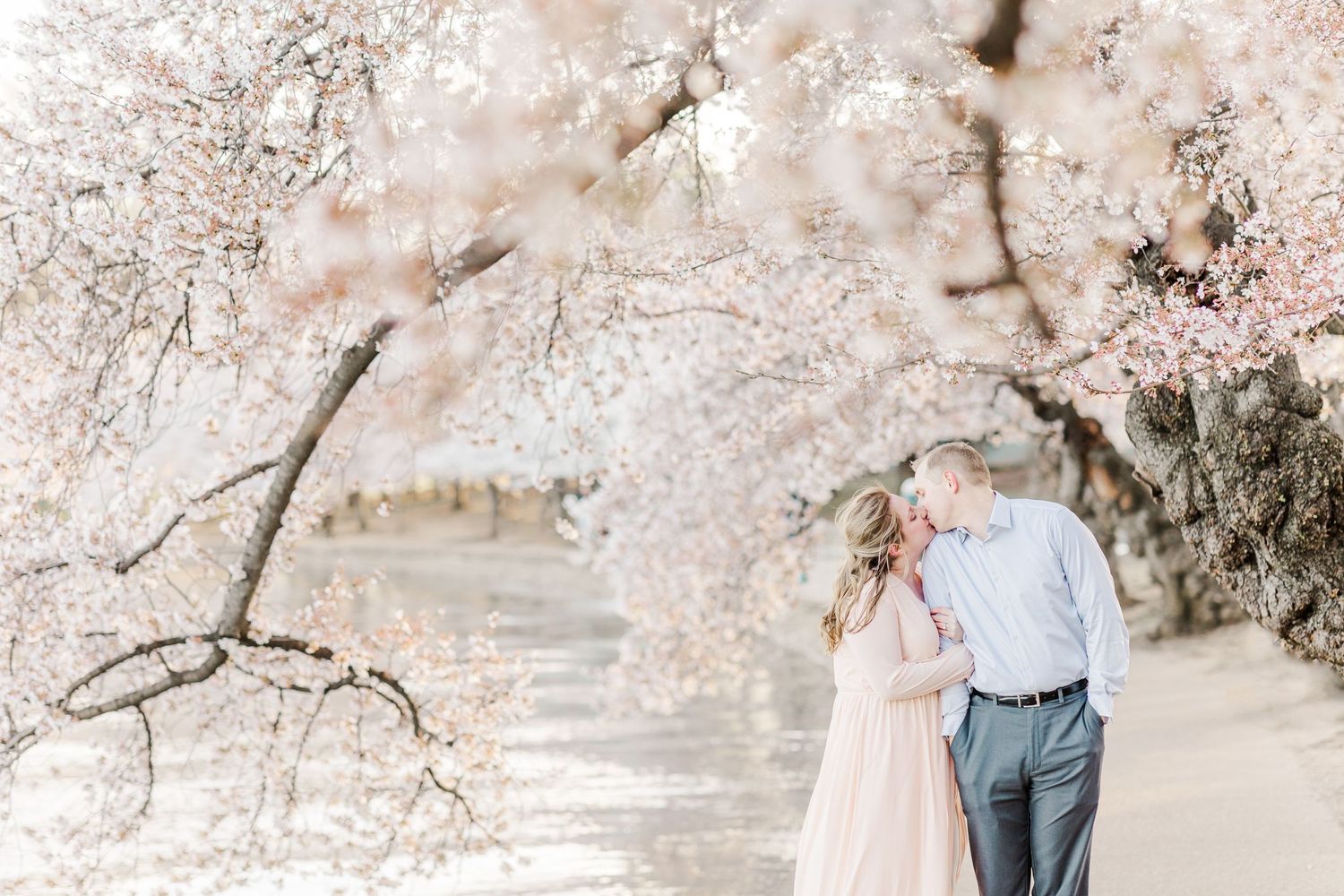 WASHINGTON DC CHERRY BLOSSOM ENGAGEMENT PICTURES