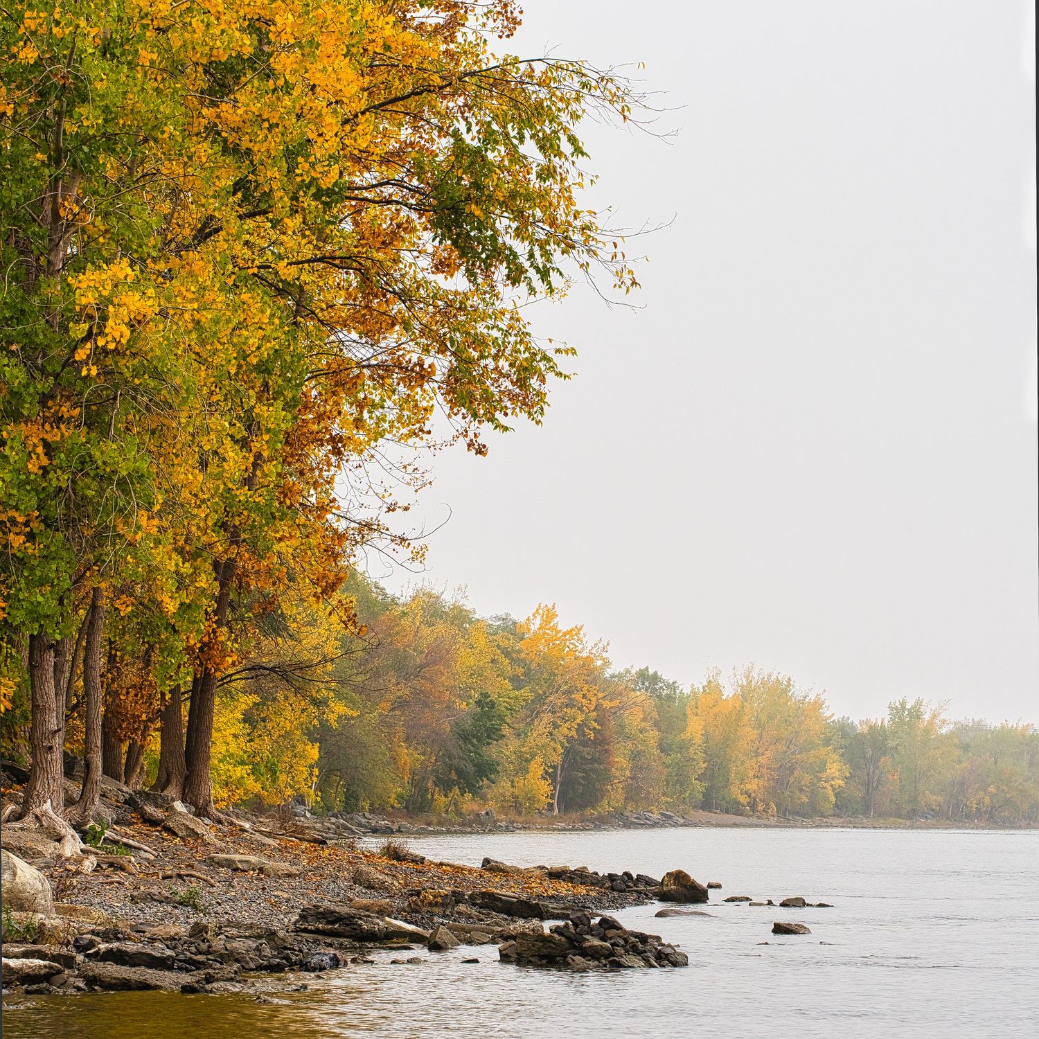 Oeuvre photographique du bord du fleuve St-Laurent à Montreal.