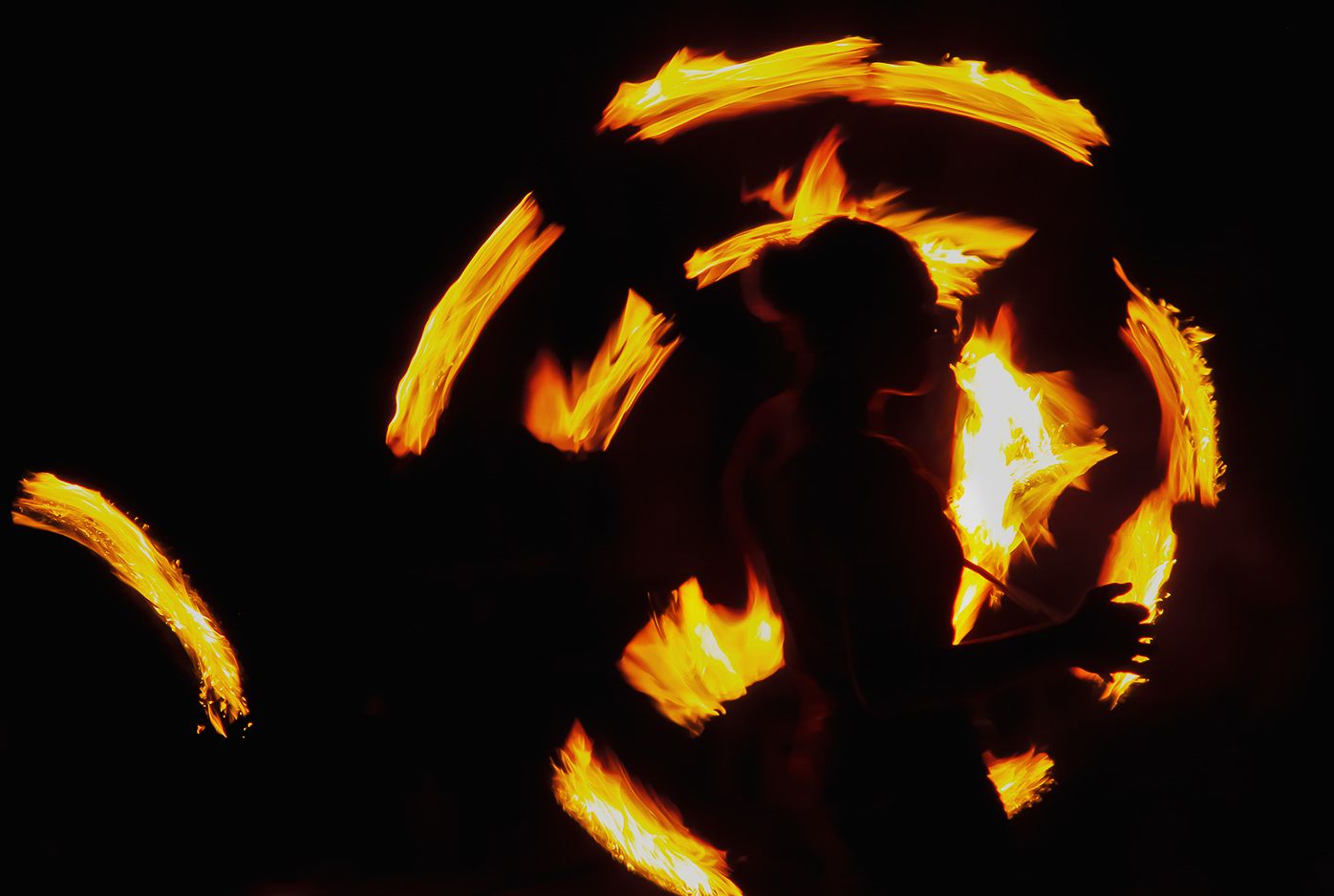 Dragon Papillon Photography - Generalist by nature
