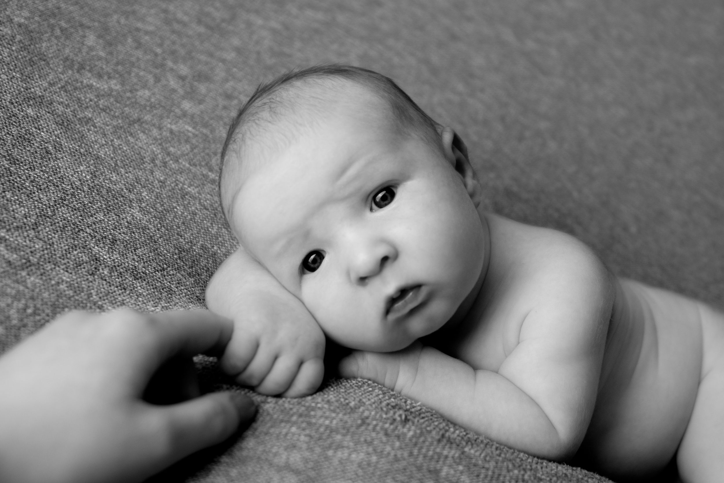 La Vista, Nebraska | Newborn Photography