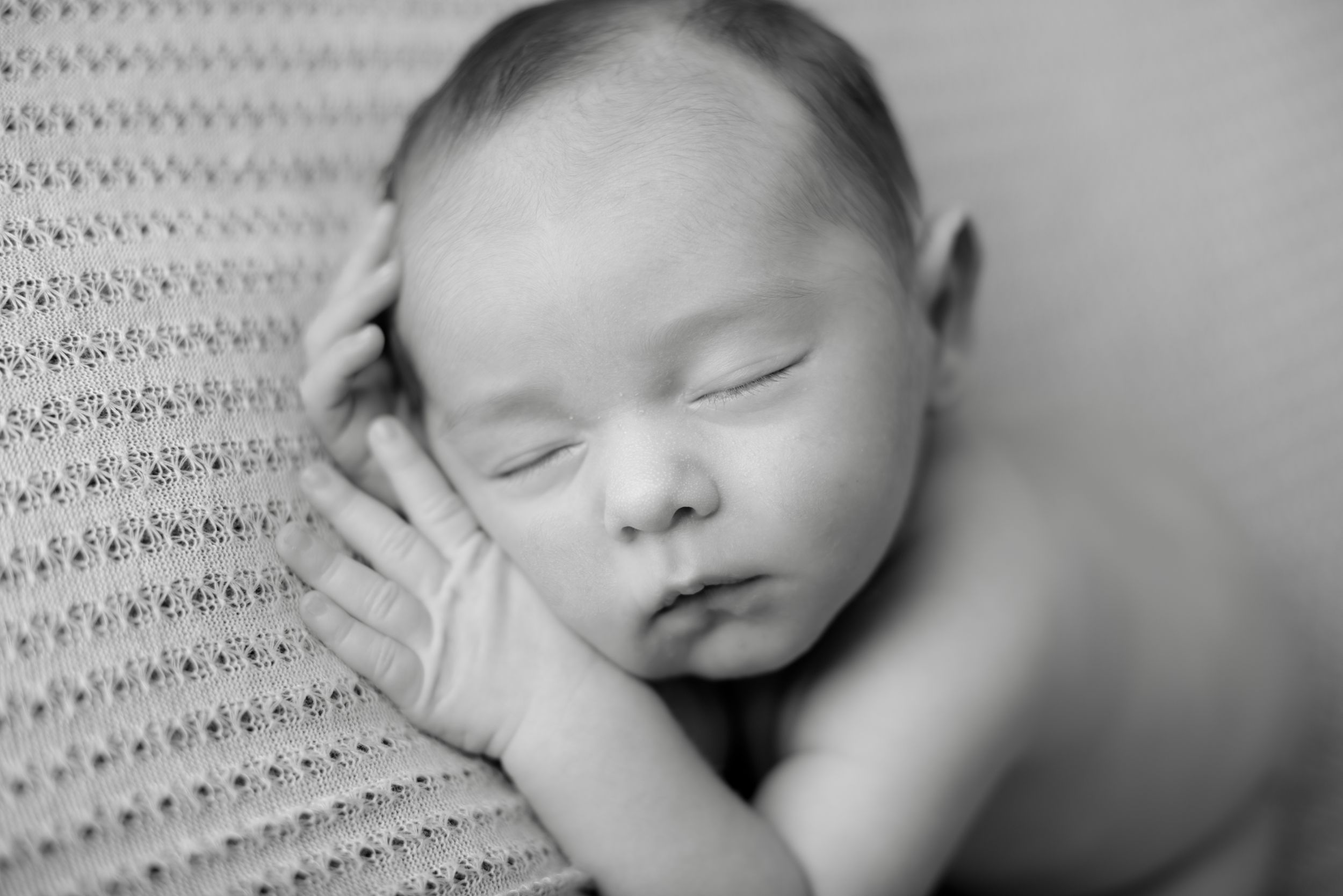Papillion,  Nebraska | Newborn Photography