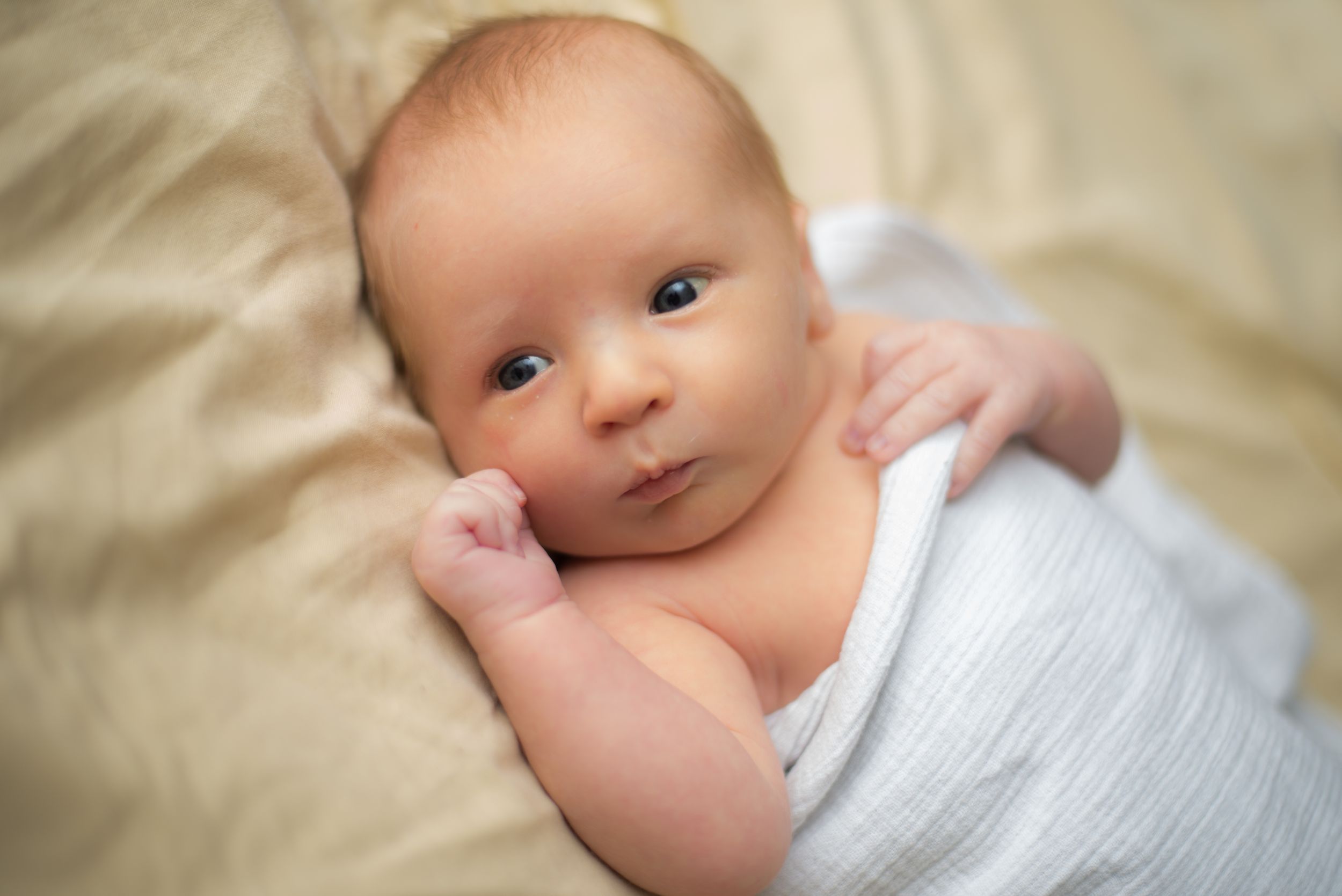 Papillion,  Nebraska | Newborn Photography