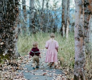 Children with their backs to camera walking through the woods