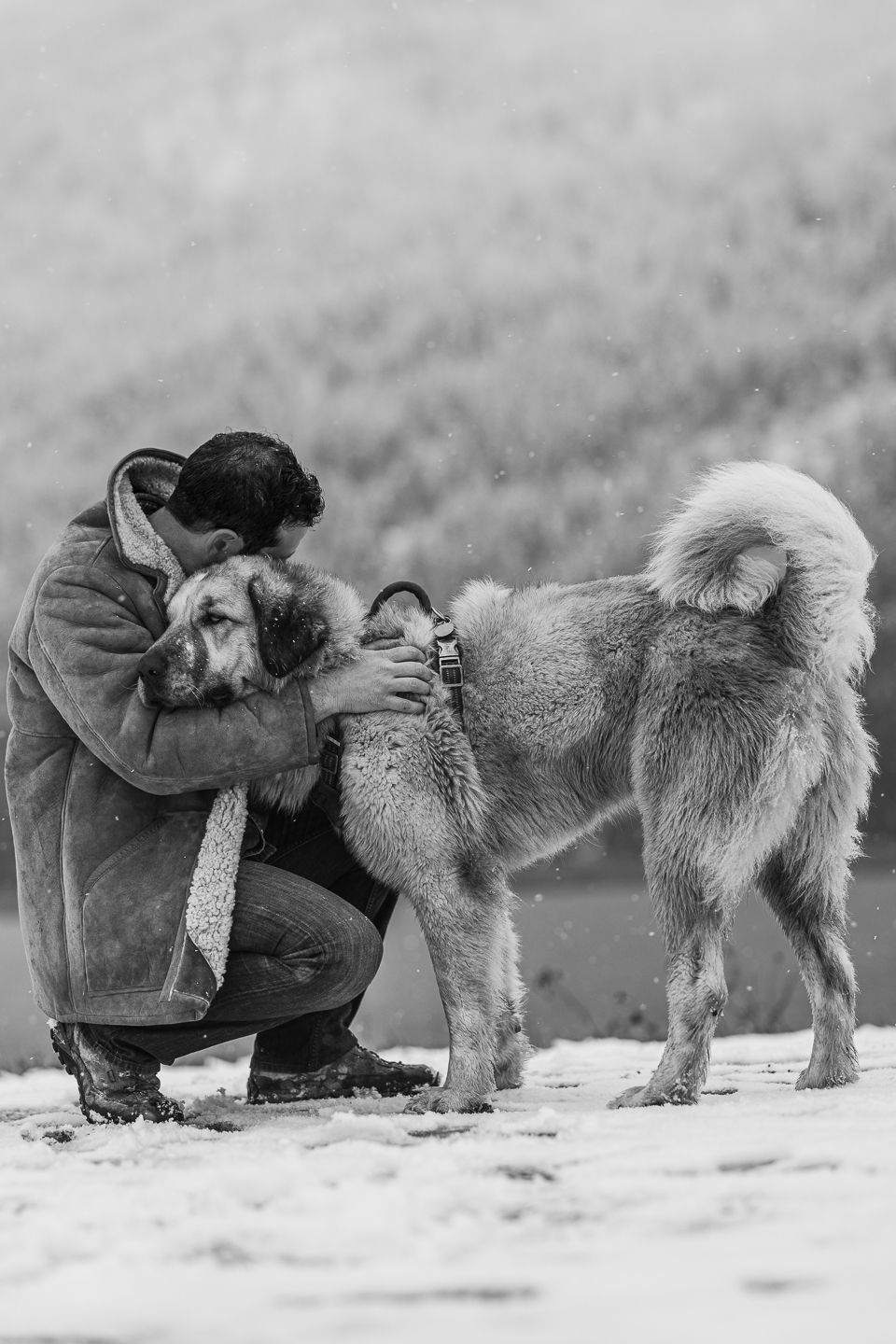 Man hugging his dog