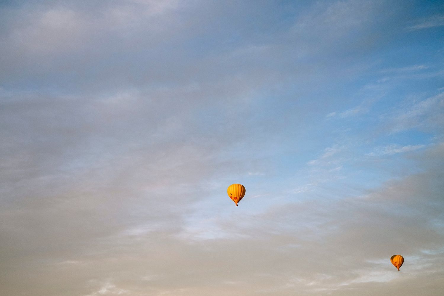 Hot Air Balloons over Napa Valley