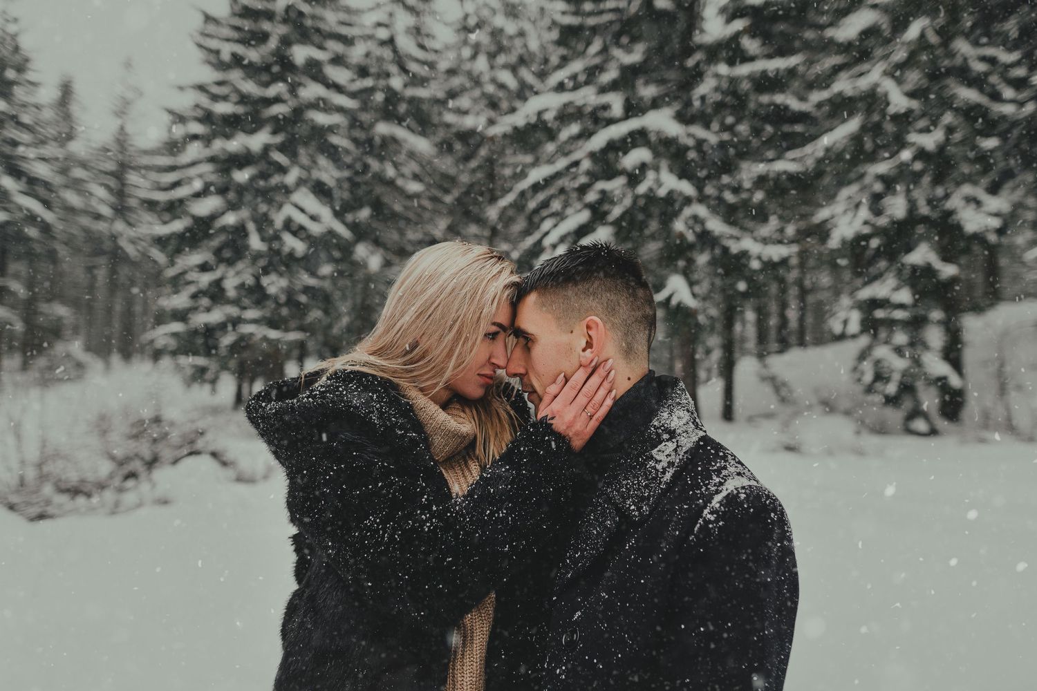 Intimate winter photo session among snow-covered evergreen trees.