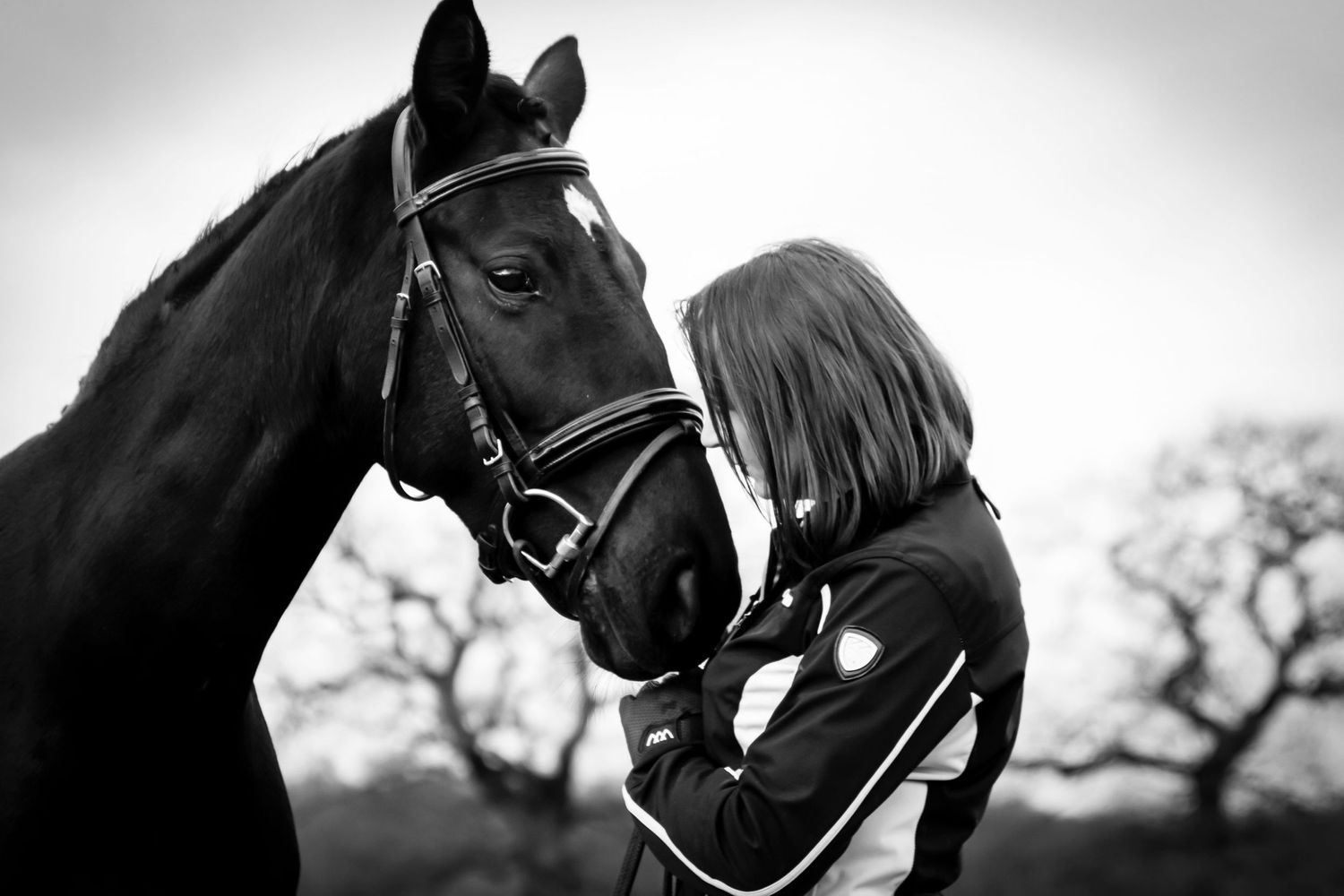 Equestrian Photography