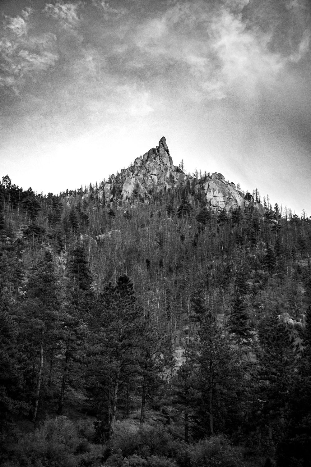 Dramatic black and white mountain peak rises above forest treeline under cloudy sky.