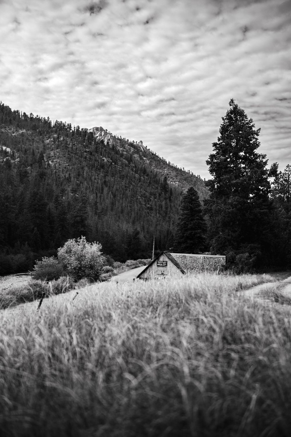 Black and white landscape of rustic cabin nestled among mountain pines and tall grass.