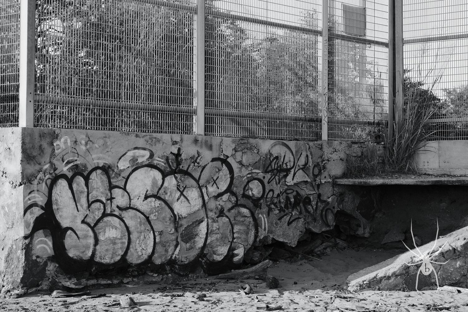 Black and white photo of urban graffiti art on a concrete wall with bubble letters.