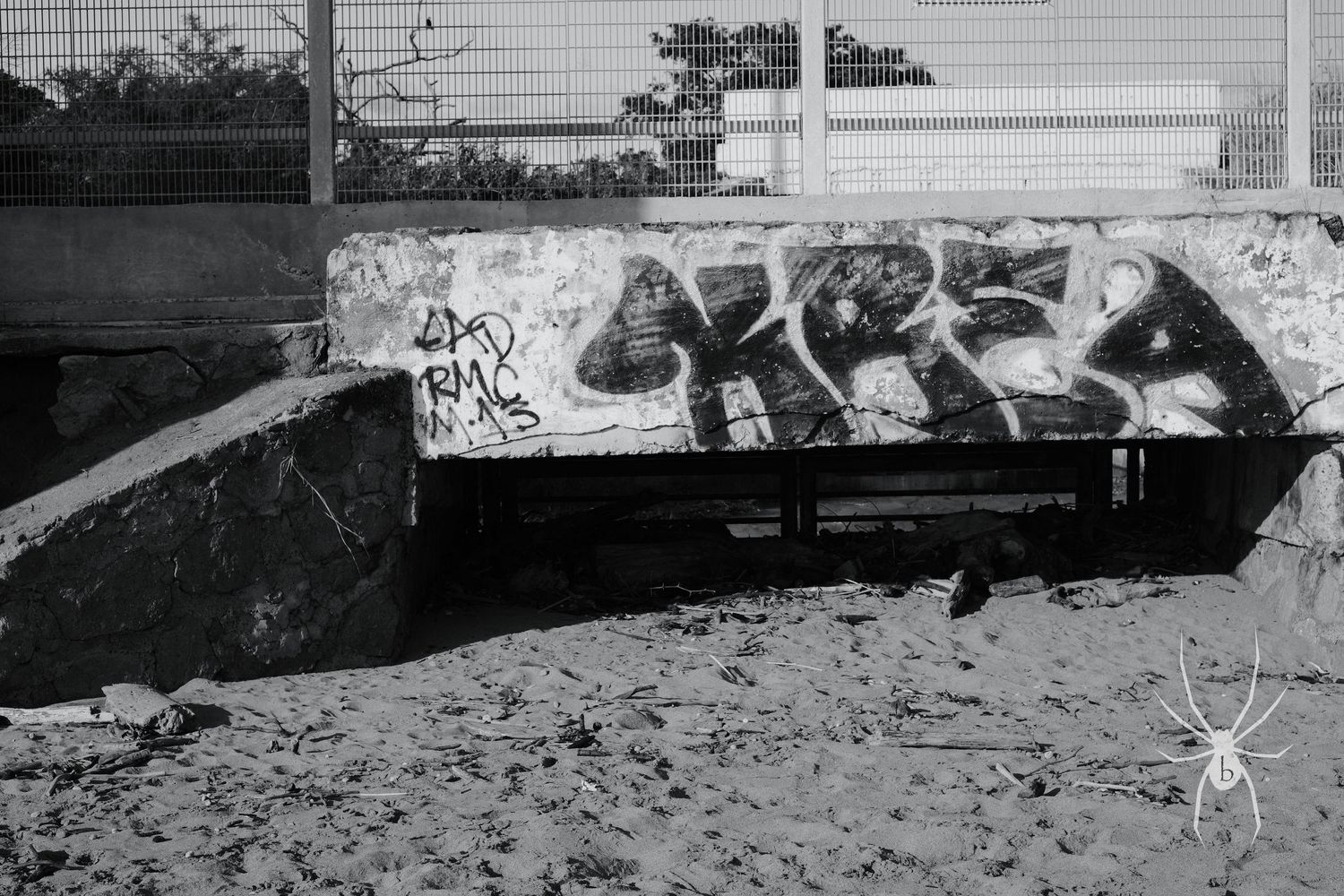 Graffiti tags spray painted on a weathered concrete wall in black and white.