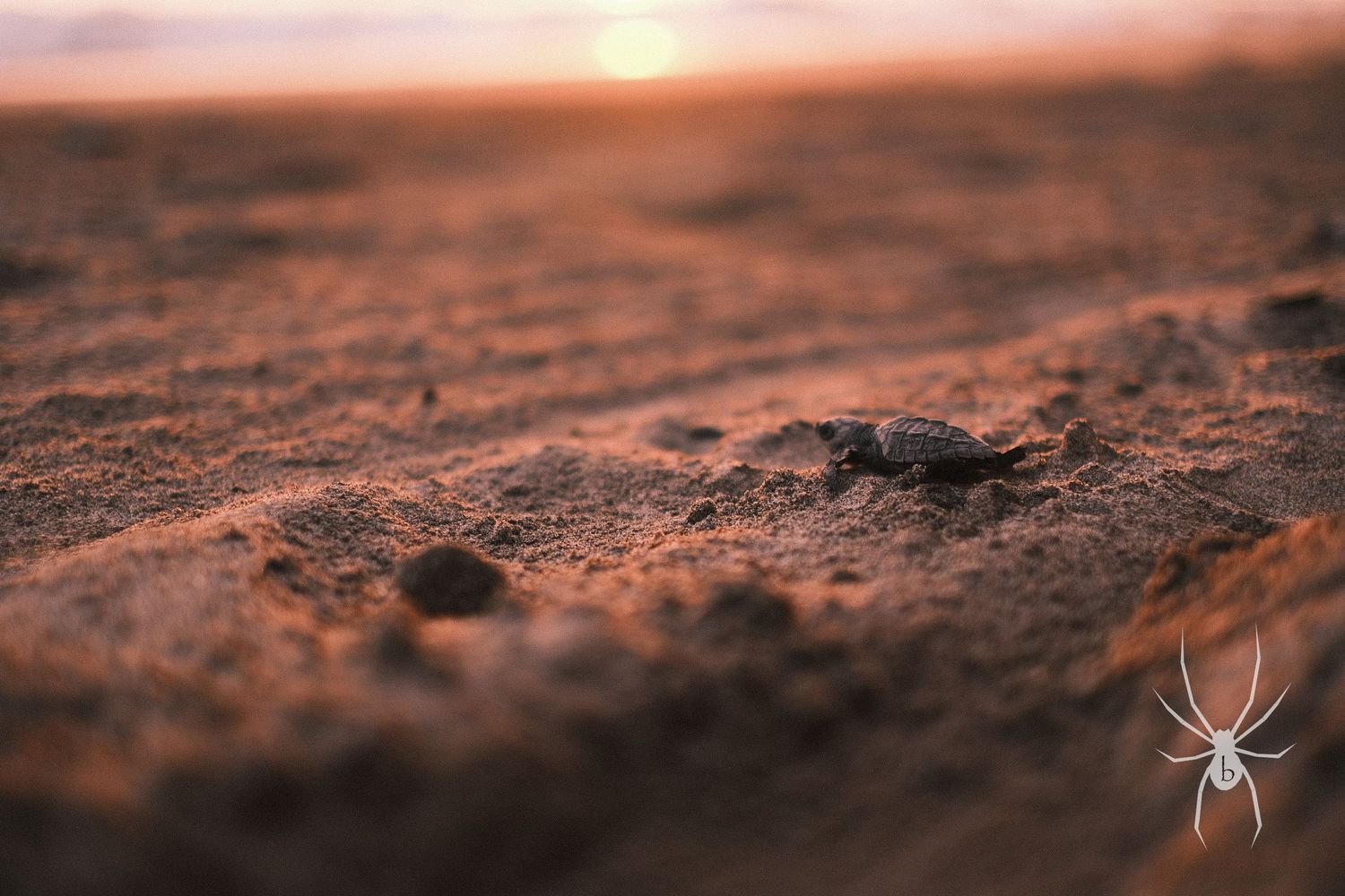 Close-up of sandy ground at sunset with warm orange tones.